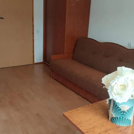Goscinne Danusia ゲストハウス